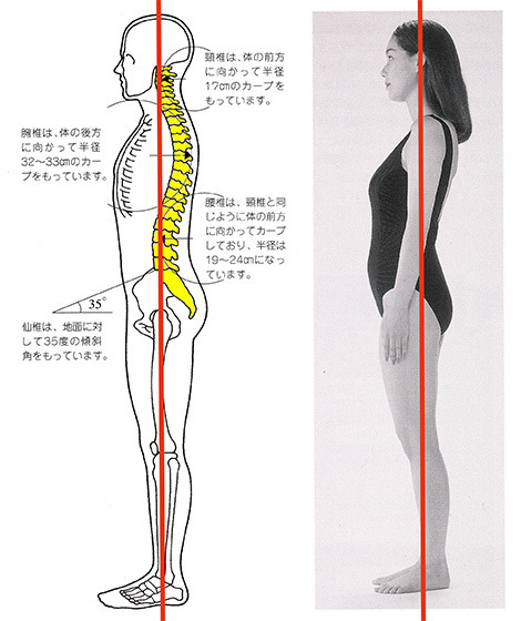 膝の痛み ｋｃｓセンター たかの施術院