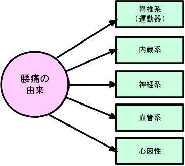 腰痛の原因