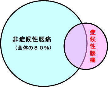腰痛について ｋｃｓセンター たかの施術院
