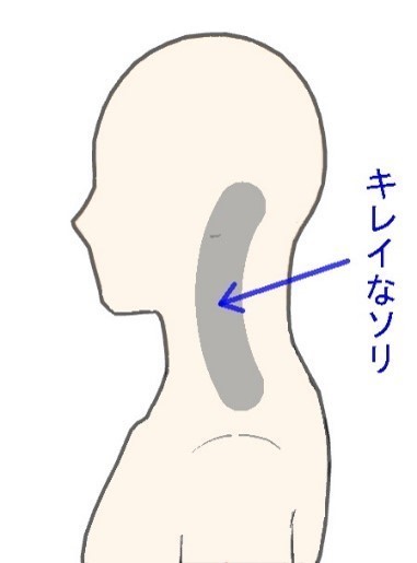 正常の首のイラスト