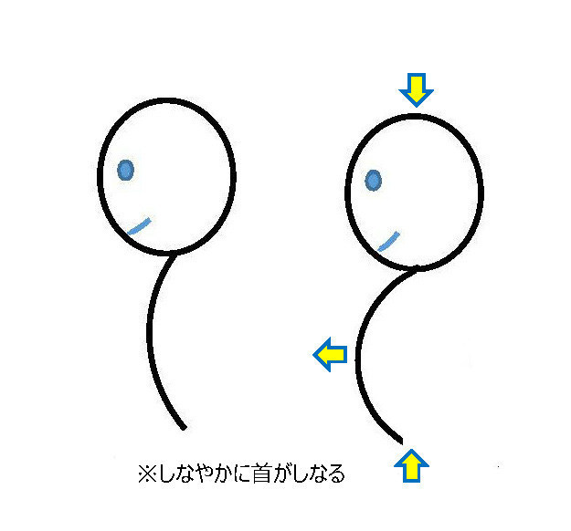 首が真っ直ぐな方の写真