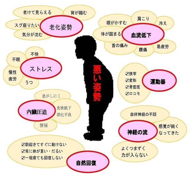 悪い姿勢の影響